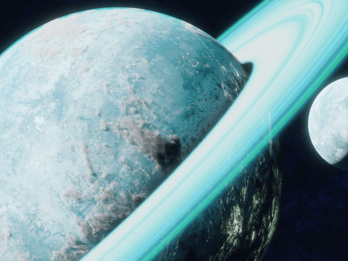 The Disappearance of&nbsp;Aves