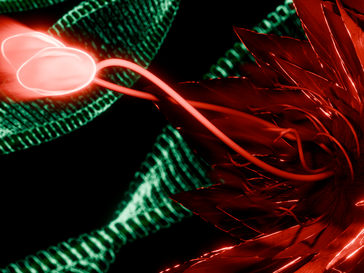 DR. AURORA & THE DEVIL BLOOM (Part 1 of&nbsp;5)